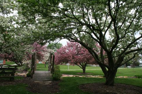 Man-made streams that drain into Colden Pond and a water feature with rustic pump and bucket were added to enhance the Kissing Bridge and its surroundings.